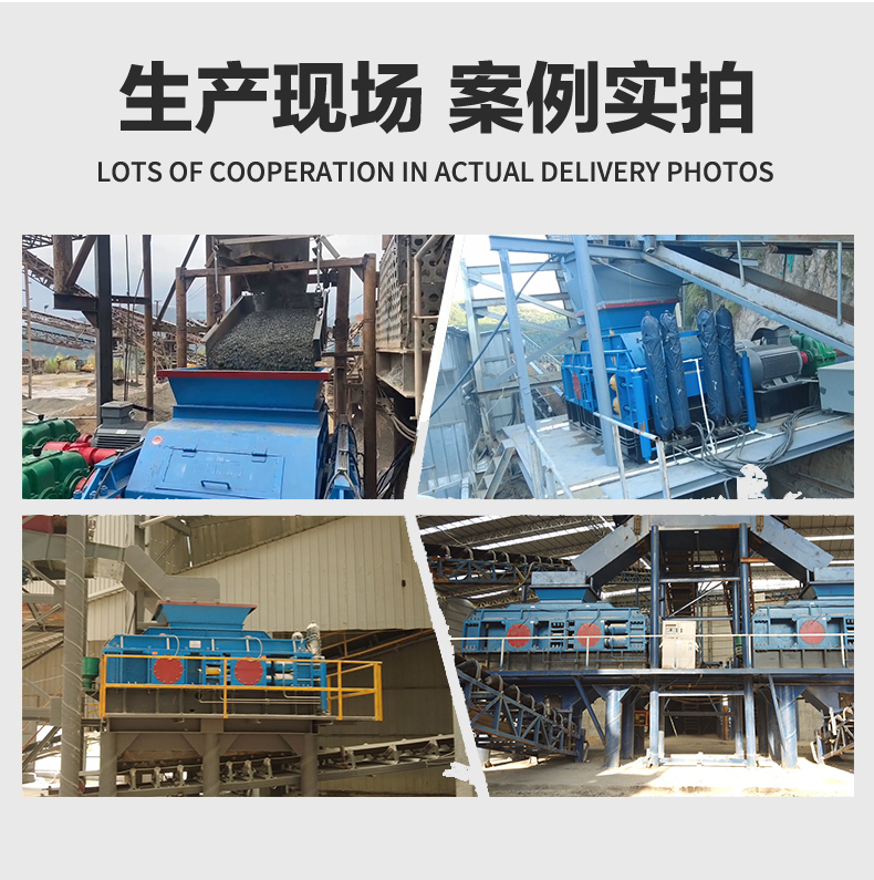 石油焦對輥破碎機